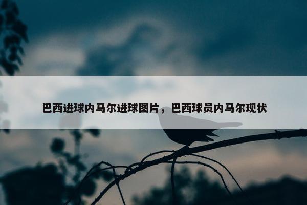 巴西进球内马尔进球图片，巴西球员内马尔现状