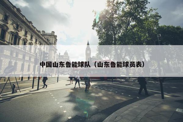 中国山东鲁能球队（山东鲁能球员表）