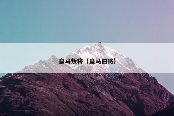皇马叛将（皇马旧将）