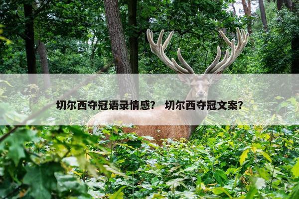切尔西夺冠语录情感？ 切尔西夺冠文案？