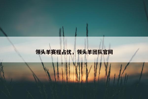 领头羊赛程占优，领头羊团队官网
