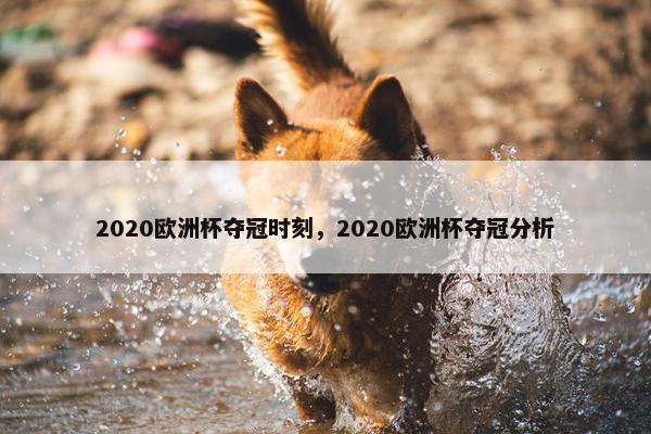 2020欧洲杯夺冠时刻，2020欧洲杯夺冠分析