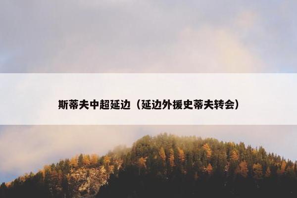 斯蒂夫中超延边（延边外援史蒂夫转会）