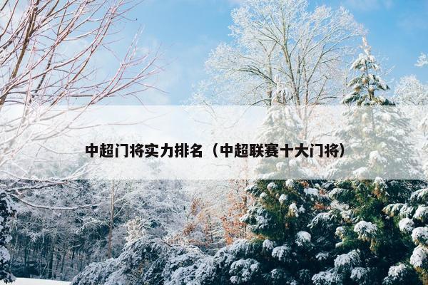 中超门将实力排名（中超联赛十大门将）