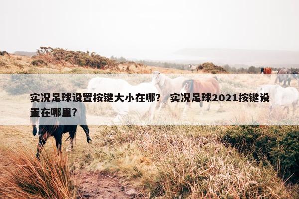 实况足球设置按键大小在哪？ 实况足球2021按键设置在哪里？