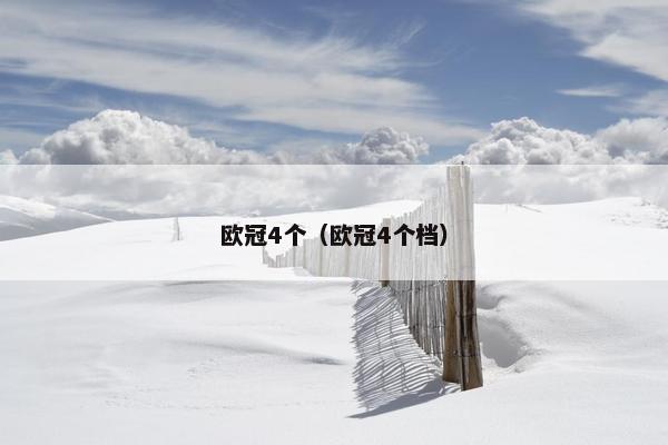 欧冠4个（欧冠4个档）