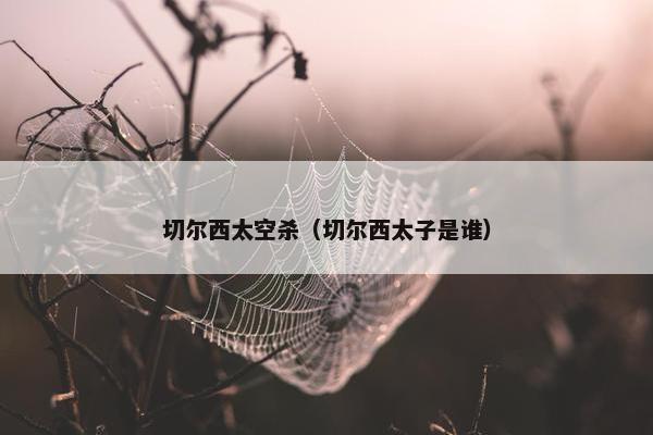 切尔西太空杀（切尔西太子是谁）