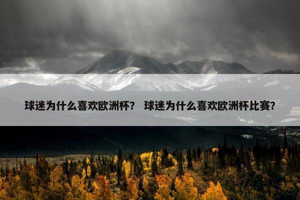 球迷为什么喜欢欧洲杯？ 球迷为什么喜欢欧洲杯比赛？
