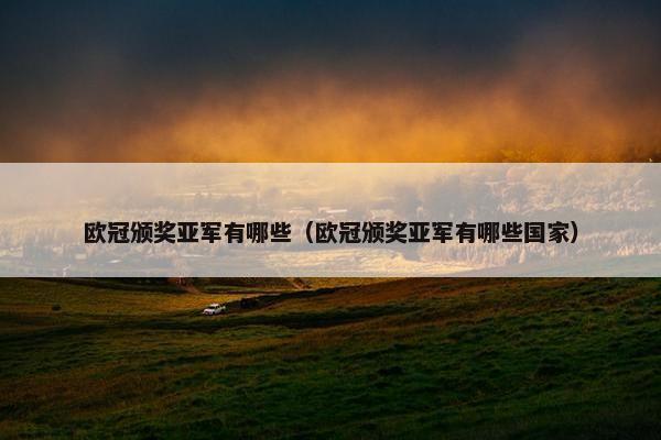 欧冠颁奖亚军有哪些（欧冠颁奖亚军有哪些国家）