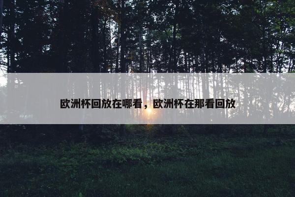 欧洲杯回放在哪看，欧洲杯在那看回放