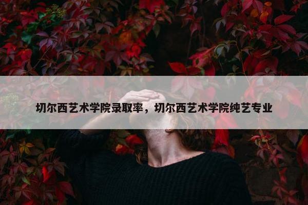 切尔西艺术学院录取率，切尔西艺术学院纯艺专业