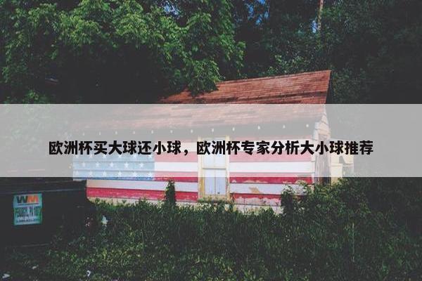 欧洲杯买大球还小球，欧洲杯专家分析大小球推荐