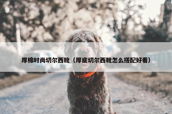 厚棉时尚切尔西靴（厚底切尔西靴怎么搭配好看）