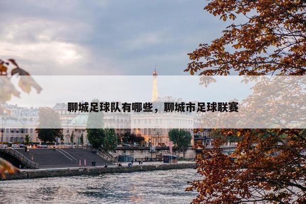 聊城足球队有哪些，聊城市足球联赛