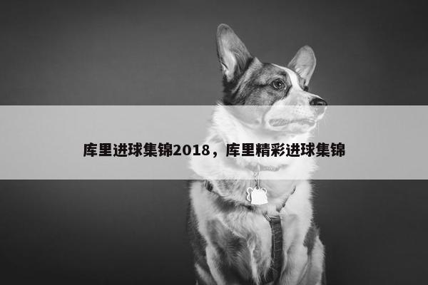 库里进球集锦2018，库里精彩进球集锦