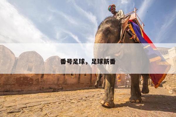 番号足球，足球新番