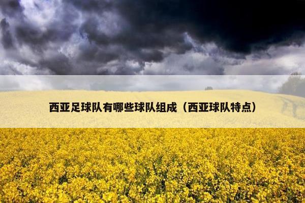 西亚足球队有哪些球队组成（西亚球队特点）