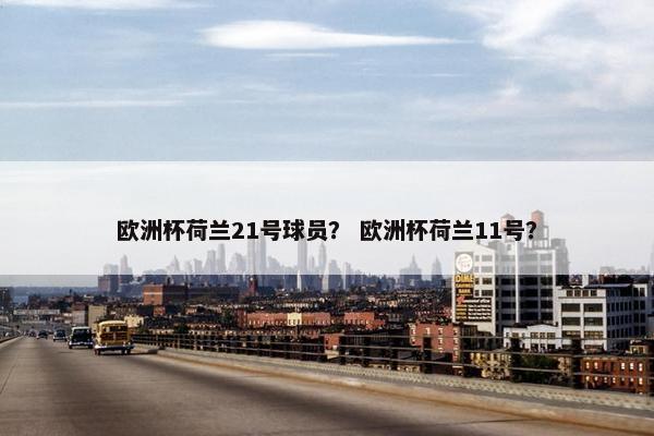欧洲杯荷兰21号球员？ 欧洲杯荷兰11号？