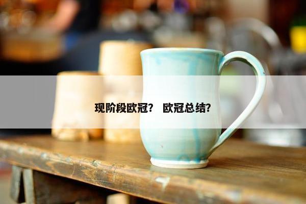 现阶段欧冠？ 欧冠总结？