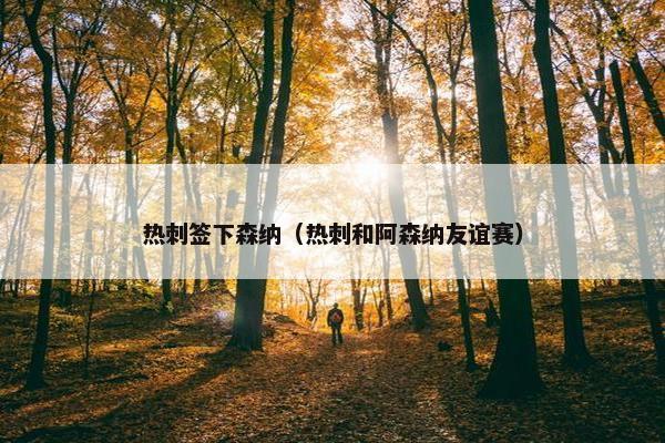 热刺签下森纳（热刺和阿森纳友谊赛）
