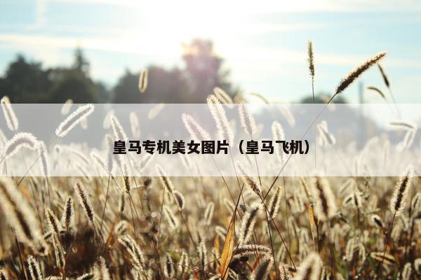 皇马专机美女图片（皇马飞机）