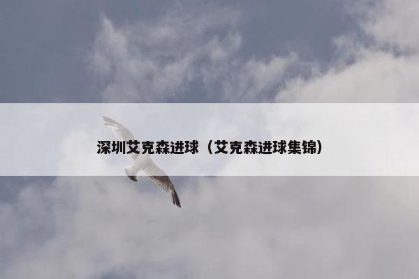 深圳艾克森进球（艾克森进球集锦）