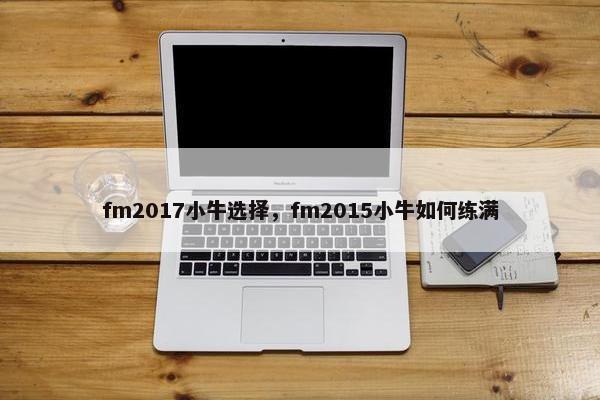 fm2017小牛选择，fm2015小牛如何练满