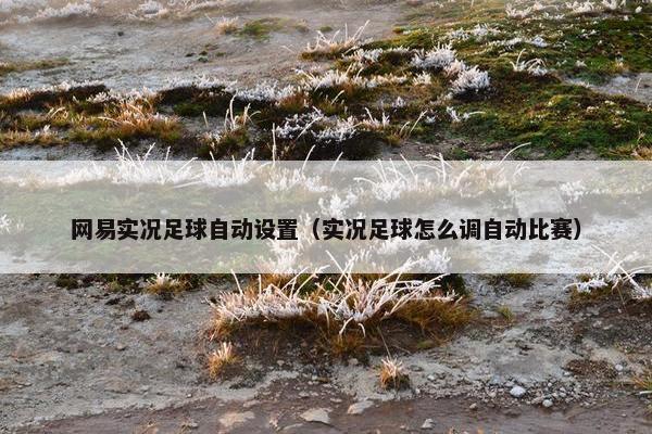 网易实况足球自动设置（实况足球怎么调自动比赛）