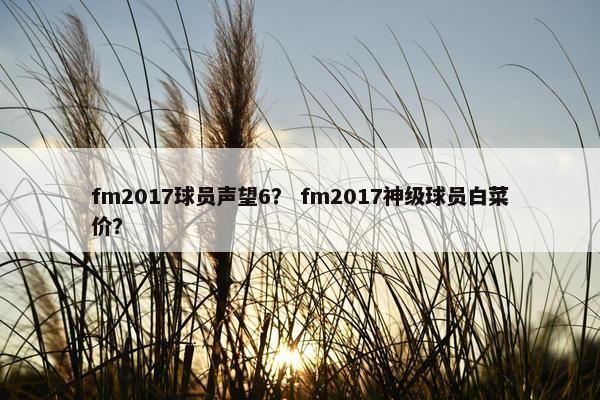 fm2017球员声望6？ fm2017神级球员白菜价？