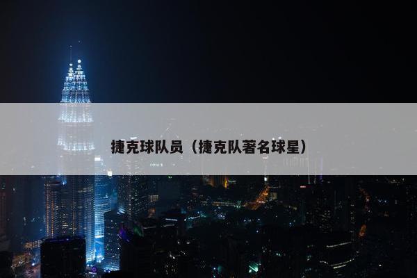 捷克球队员（捷克队著名球星）
