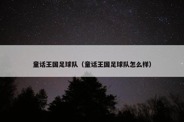 童话王国足球队（童话王国足球队怎么样）