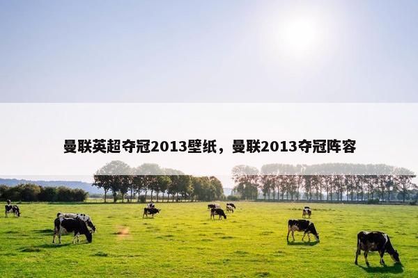 曼联英超夺冠2013壁纸，曼联2013夺冠阵容