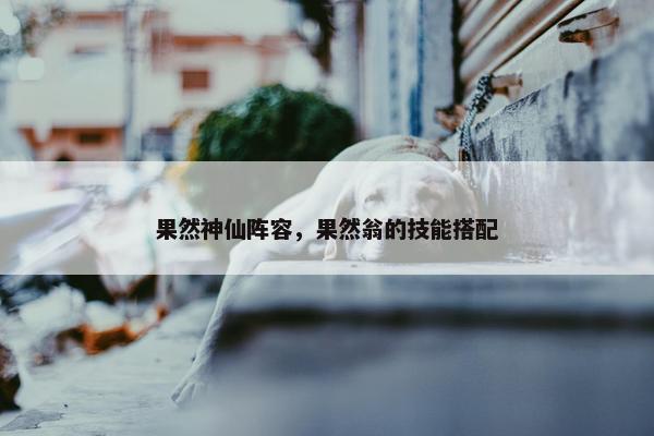 果然神仙阵容，果然翁的技能搭配