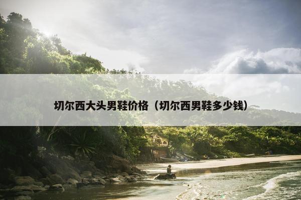 切尔西大头男鞋价格（切尔西男鞋多少钱）