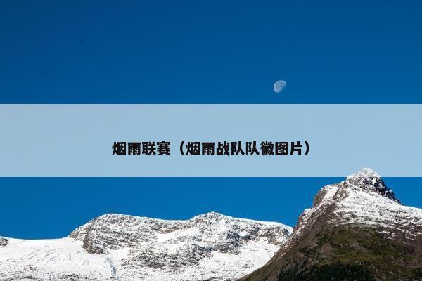 烟雨联赛（烟雨战队队徽图片）