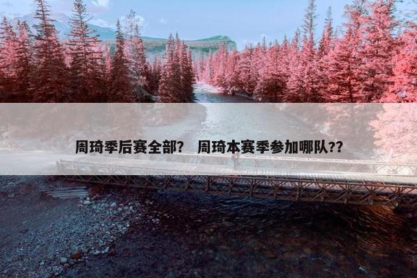 周琦季后赛全部？ 周琦本赛季参加哪队?？