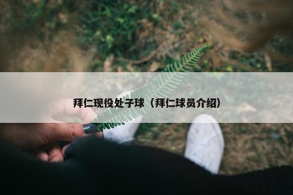 拜仁现役处子球（拜仁球员介绍）