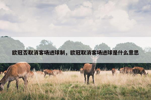 欧冠否取消客场进球制，欧冠取消客场进球是什么意思