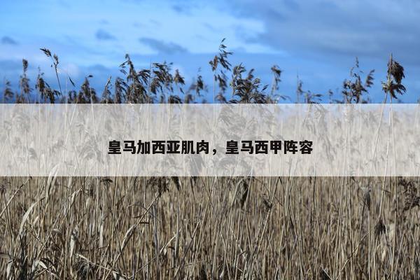 皇马加西亚肌肉，皇马西甲阵容