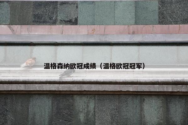 温格森纳欧冠成绩（温格欧冠冠军）