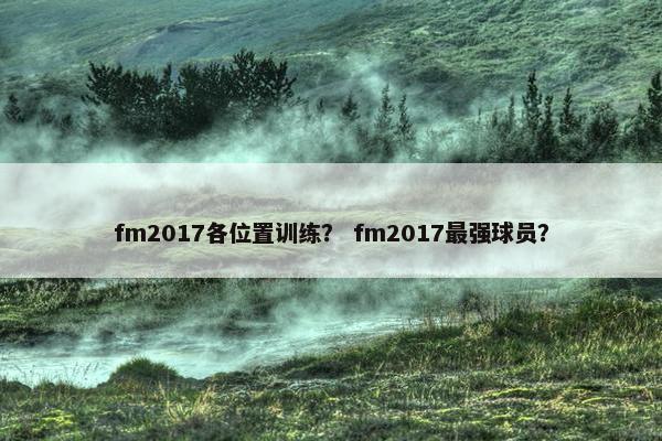 fm2017各位置训练？ fm2017最强球员？