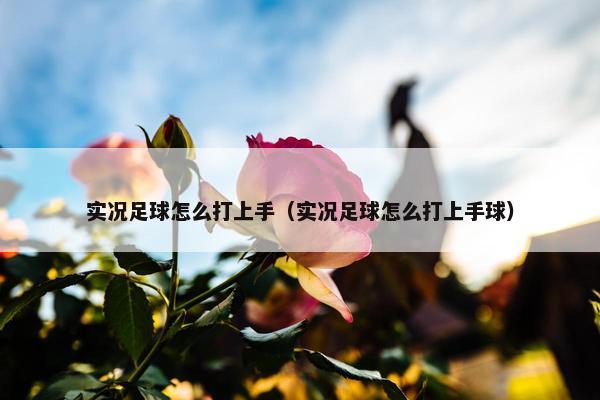 实况足球怎么打上手（实况足球怎么打上手球）