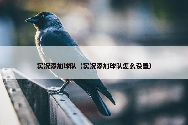 实况添加球队（实况添加球队怎么设置）