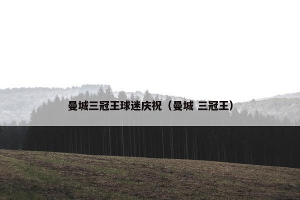 曼城三冠王球迷庆祝（曼城 三冠王）