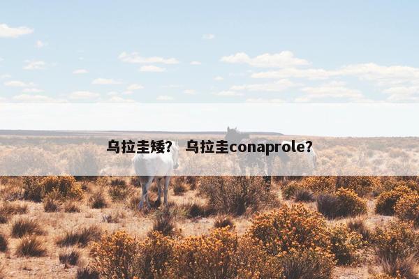 乌拉圭矮？ 乌拉圭conaprole？