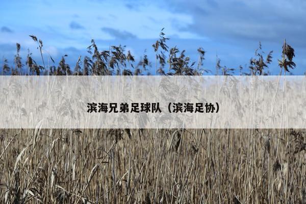 滨海兄弟足球队（滨海足协）