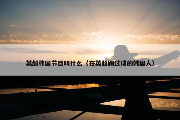 英超韩国节目叫什么（在英超踢过球的韩国人）