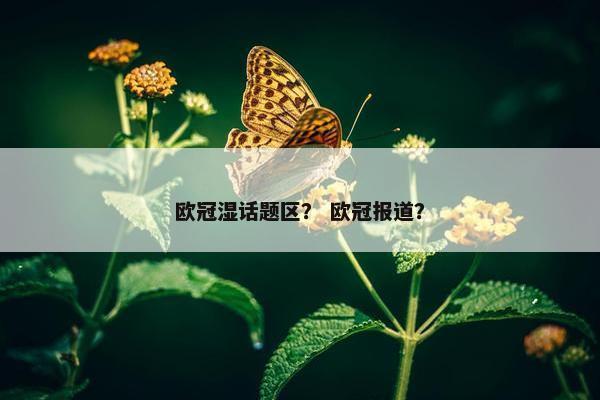 欧冠湿话题区？ 欧冠报道？