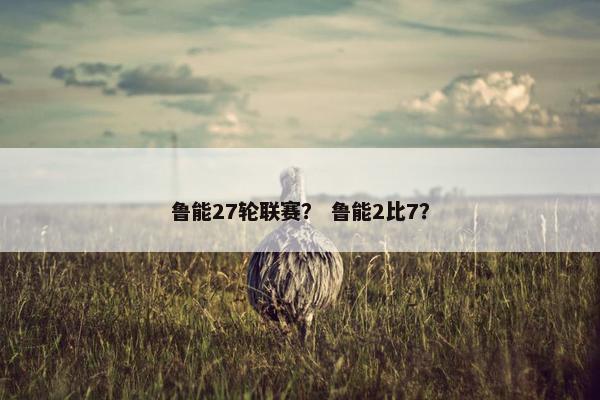 鲁能27轮联赛？ 鲁能2比7？