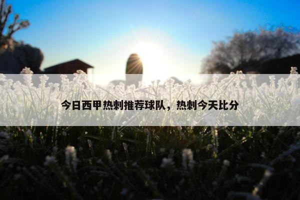 今日西甲热刺推荐球队，热刺今天比分